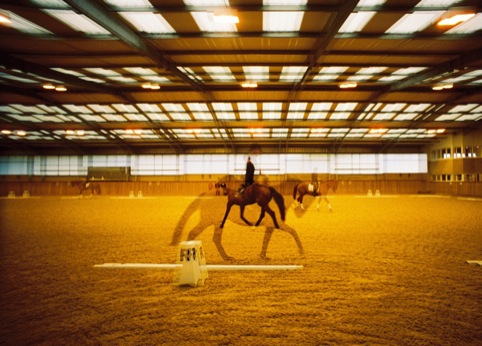 Paralympic Equestrian