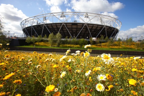 Flowers outside the Olympic Stadium