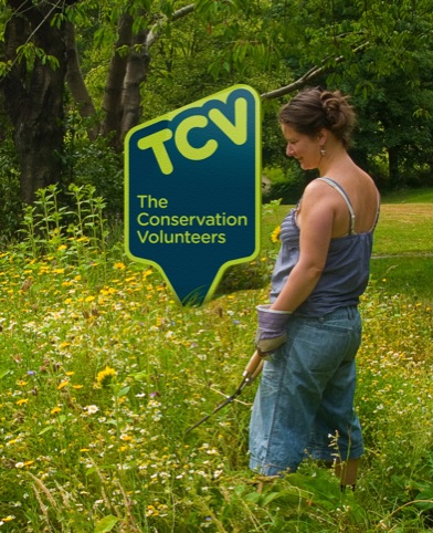 TCV steak