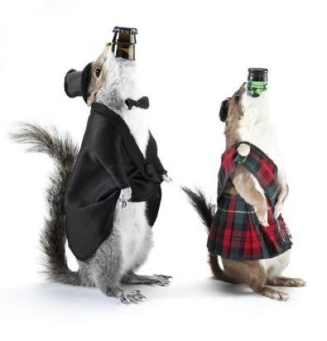 Brewdog's The End of History