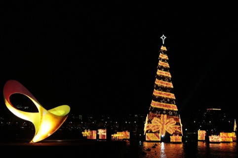 The Rio 2016 Paralympics identity with the Árvore Natal de Lagoa monument