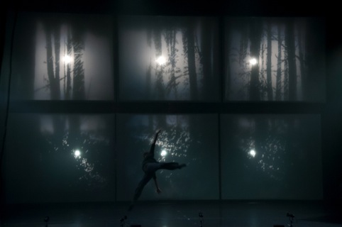 Dance-based multidisciplinary show created and directed by Tupac Martir