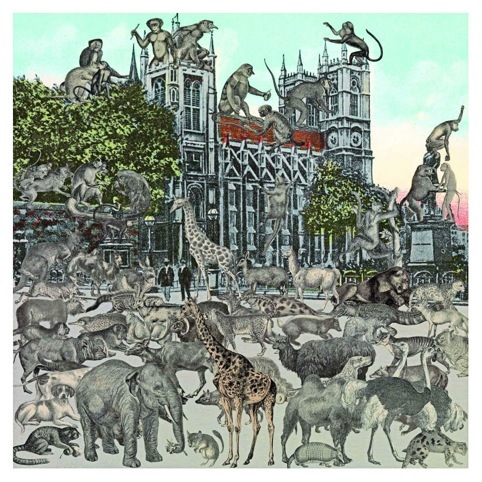 Animalia 2012