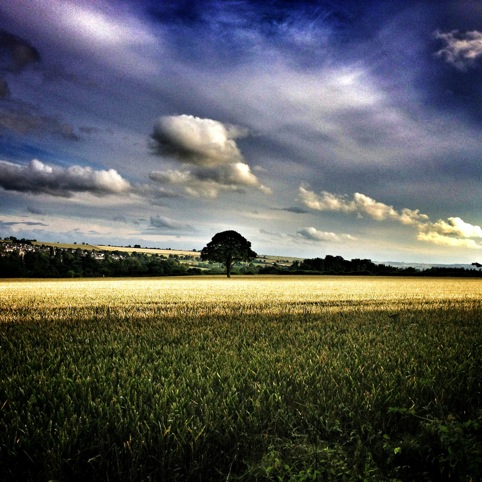 Image chosen by Nicola Edgington