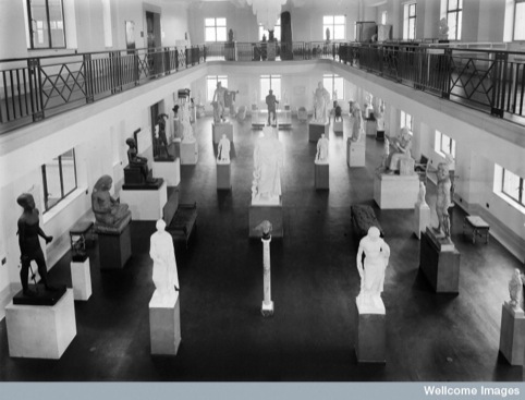 Wellcome museum, view of statuary hall showing various arrangements.