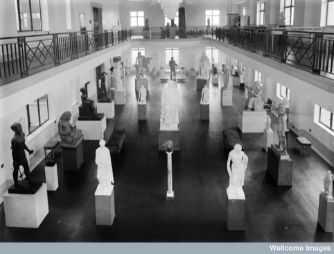 Wellcome museum, view of statuary hall showing various arrangements. 