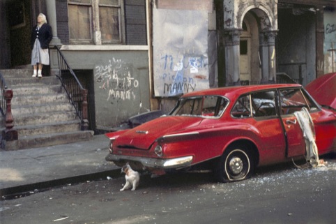 Helen Levitt Cat next to red car, New York, 1973