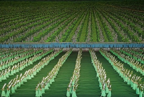 Apple Orchard background at ARIRANG