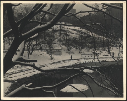 Park in the Snow 1950s 