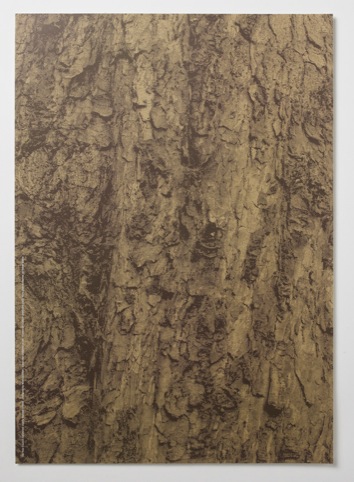 Reverse side of the poster, printed to look like bark.