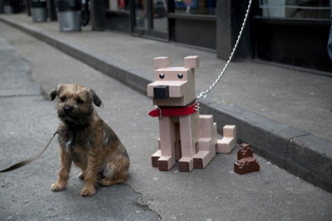 Making friends with a border terrier