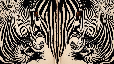 David Attenborough’s Natural Curiosities, zebra