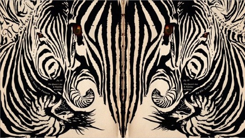  David Attenborough’s Natural Curiosities, zebra