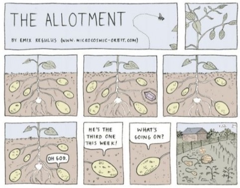 The Allotment, by Emix Regulus