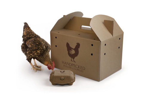 Handpecked chicken carrier, and a chicken