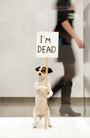 David Shrigley, I'm Dead, 2010