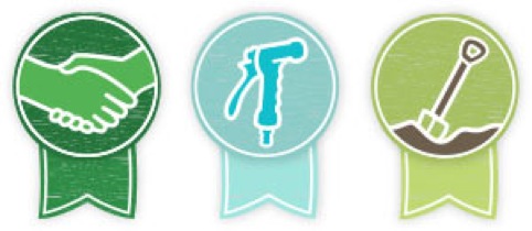 Crunchd icons