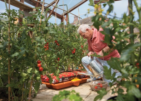 Growbag Waterer in use