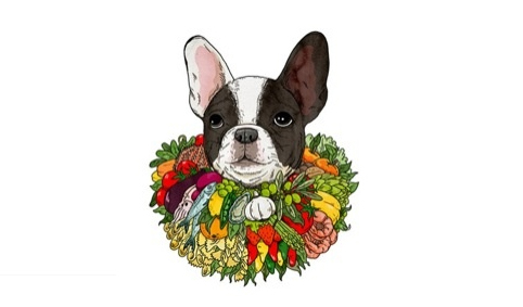 French Bulldog illustration by Andrew Rae, for the El Bulli exhibition at Somerset House