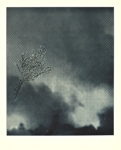 Smoke-Bouquet- Collotype/screenprint