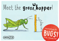 Chester Zoo bugs campaign