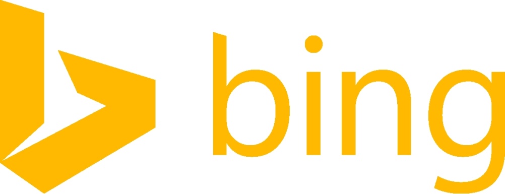 New Bing identity