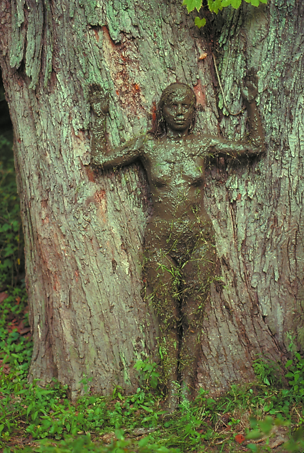 Tree of Life, 1976  Collection Raquelin Mendieta Family Trust 