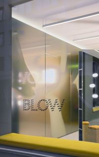 Blow salon