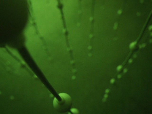 Given the green light