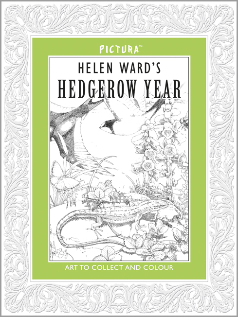 Helen Ward, Hedgerow Year 