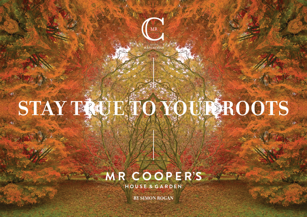 Mr Cooper's branding by Ahoy 