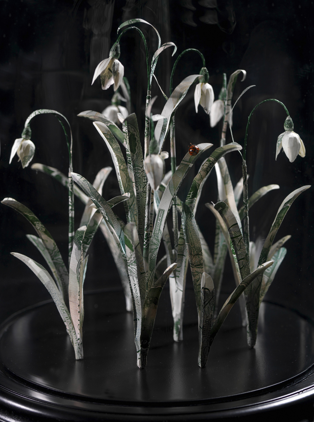 Snowdrops (detail), Justine Smith