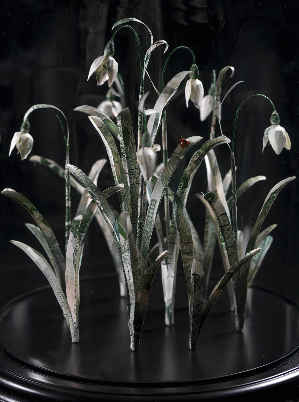 Snowdrops (detail), Justine Smith 