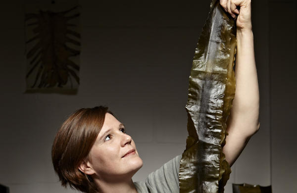 Julia Lohmann: Department of Seaweed