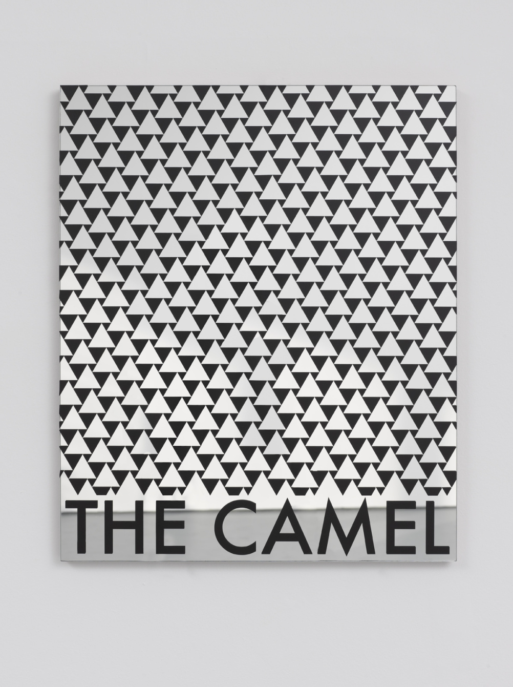 The Camel James Irwin, 2013