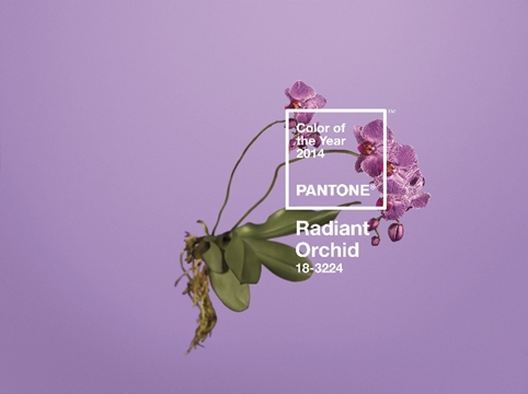 Pantone