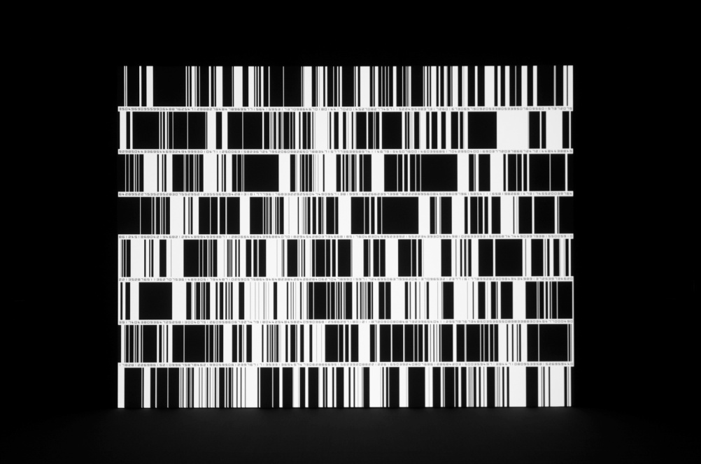 work by Ryoji Ikeda