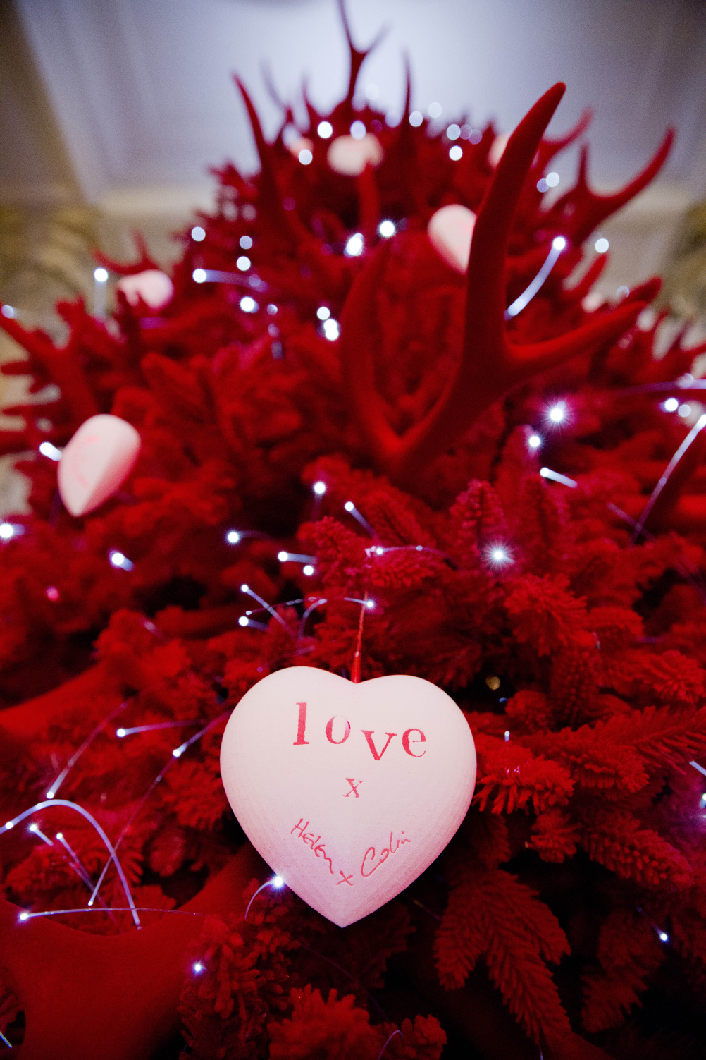 Victoria and Albert Museum Christmas Tree 