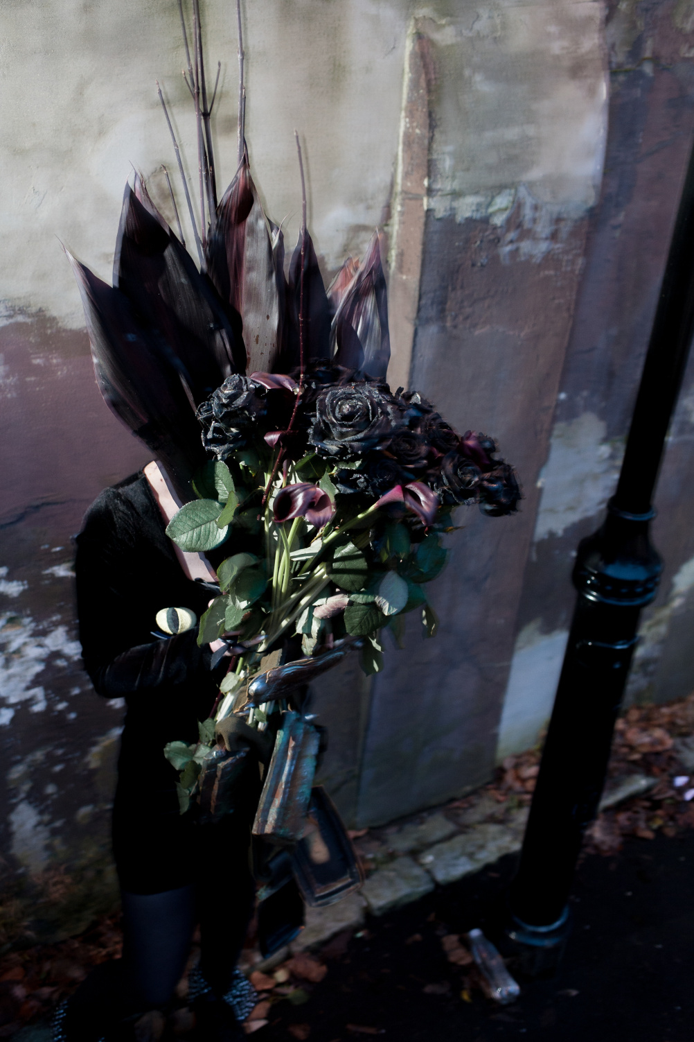 Black roses