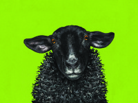 Brighton Festival sheep