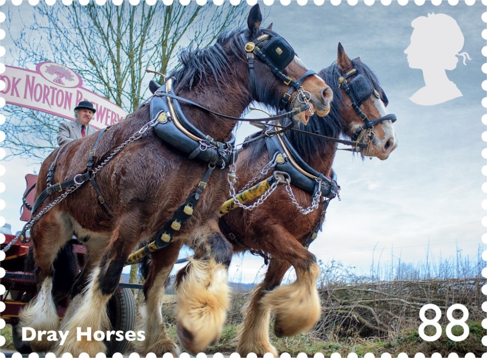 Dray horses feature on the 88p stamp 