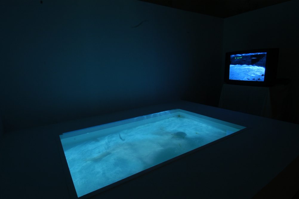 Hassan Meer, Under the Water, 2004 Video installation and pool