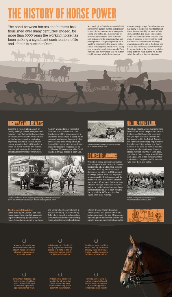 Working Horses presentation pack inner