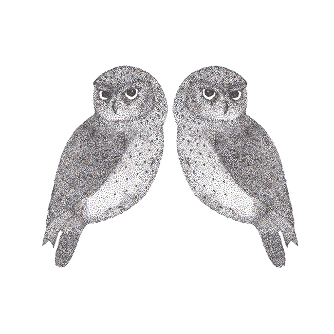 Two Little Owls