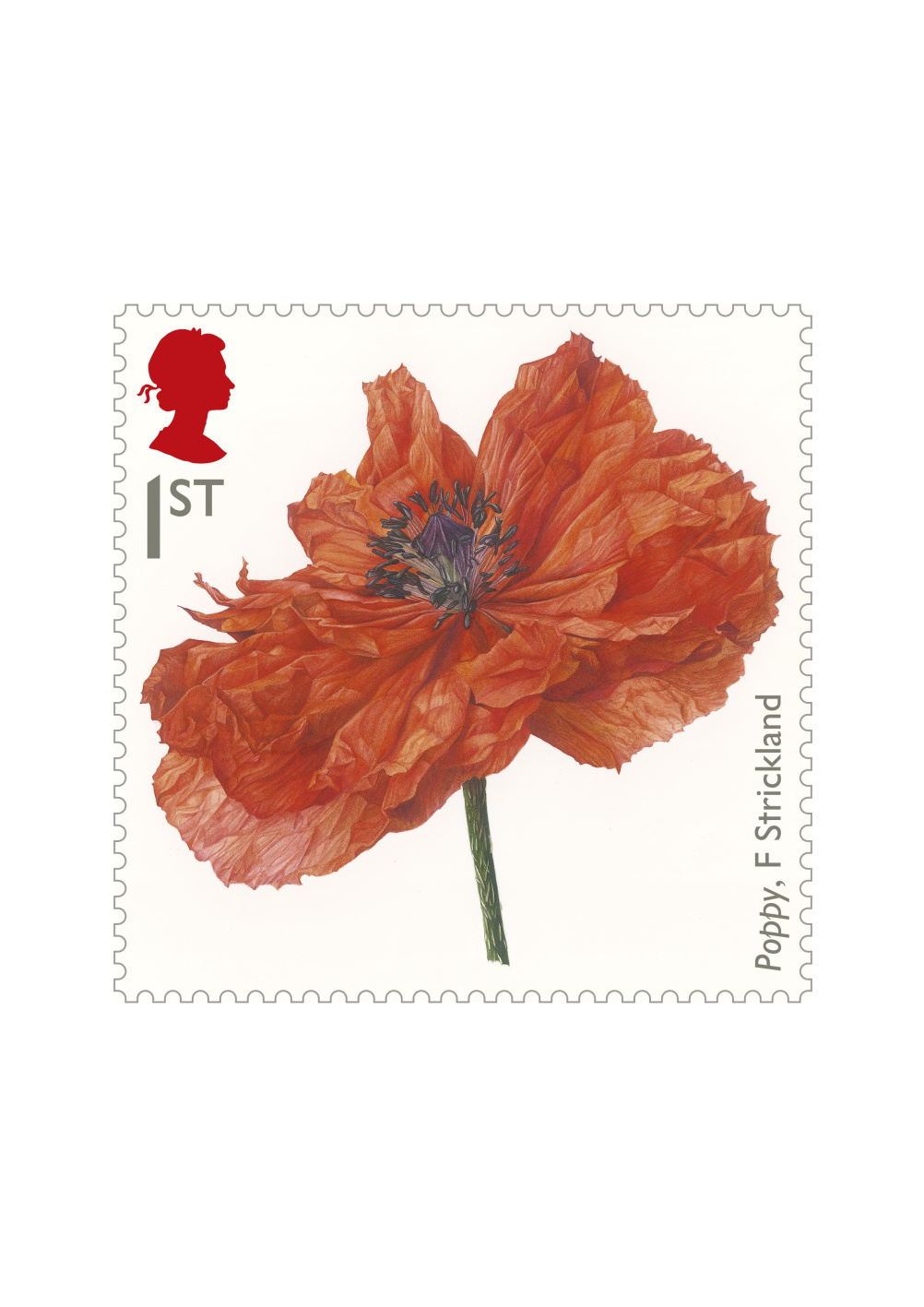 Poppy