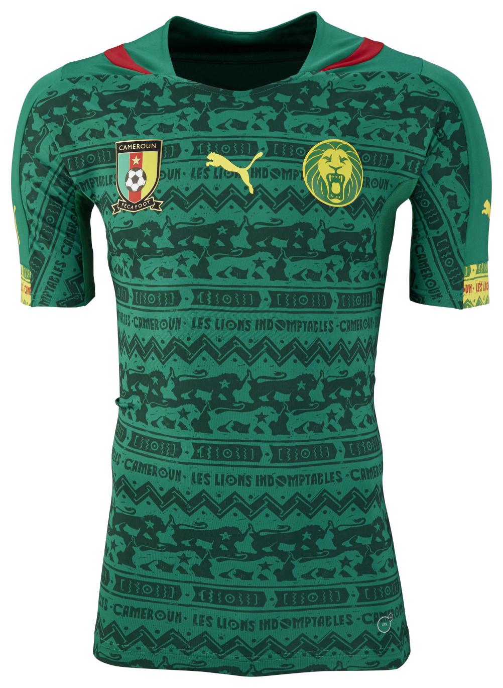 Cameroon home 