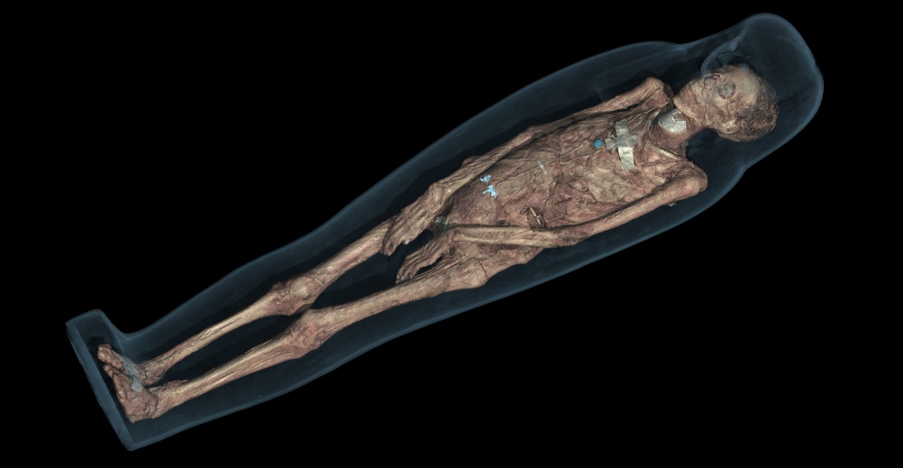 CT scan 3D visualisation of the mummified remains of Tayesmutengebtiu, also called Tamut, showing her body within the cartonnage.