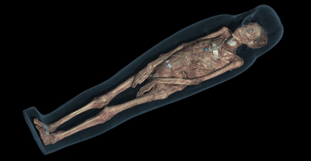 CT scan 3D visualisation of the mummified remains of Tayesmutengebtiu, also called Tamut, showing her body within the cartonnage. 