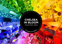 Chelsea in Bloom