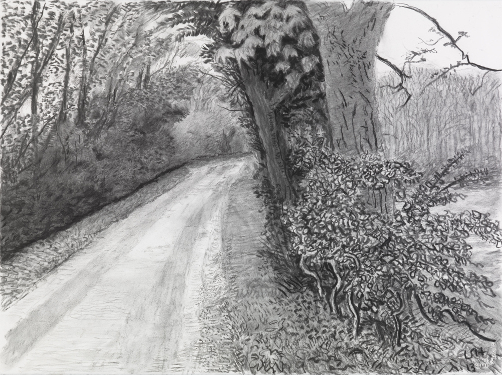 David Hockney, Woldgate, 8 May, from ‘The Arrival of Spring in 2013 (twenty thirteen)’ 2013 charcoal on paper